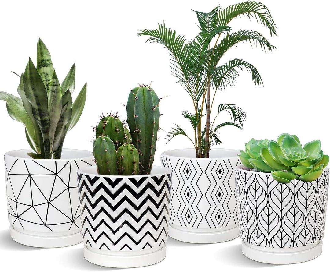Ton Sin Plant Pots,5.5 Inch White Pots for Indoor Plants with Drainage Holes,Cylinder Flower Pot Ceramic Planters with Saucer,Cactus Succulent Outdoor Garden Pots Set of 4