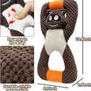 Plush Indestructible Durable Tough Dog Toys for Small Dogs, Interactive Dog Toys for Small Medium Large Dog Breeds (Raccoon)