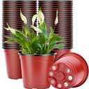 VIVOSUN 50 Pcs 6 Inch Plastic Plant Nursery Pots, Seed Starting Pot, Flower Plant Container for Seedlings, Cuttings, Transplanting