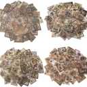 2 x Glife 240pcs Vintage Plant & Flower Translucent Aesthetic Stickers for Scrapbooking, Journaling, Planners