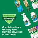 Advantage II Large Cat Vet-Recommended Flea Treatment & Prevention Cats Over 9 lbs. 2-Month Supply