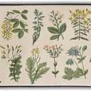 Kawani Floral Herbs Kitchen Rugs Floor Mat Anti Fatigue Washable Sage Leaves Door Mats for Home & Kitchen & Office Wild Plant Decor Memory Foam Mat Non-Skid 39x20inch