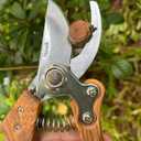 Branch Trimmer, Japanese Bonsai Trimming Scissors, Garden Clippers Handheld, Ergonomic Gardening Tools, Floral Shears Gardening Set, Garden Pruners Farming Tools (Wood Silver)