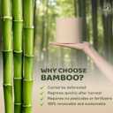 Bamboo Story, Bamboo Toilet Paper Unbleached, 48 Rolls, 3 Ply and 300 Sheets Bamboo Toilet Tissue - FSC Certified, Biodegradable, Chemical Free, Plastic Free, BPA Free, Septic Safe Toilet Paper