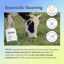 ARMRA Colostrum Powder | Unflavored | Gut Health & Bloating | Skin & Hair | Immunity | Keto, Gluten & Fat-Free | 30 Servings