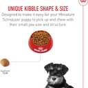 Royal Canin Breed Health Nutrition Miniature Schnauzer Puppy Dry Dog Food, 2.5 lb Bag (EXP 04/16/26)