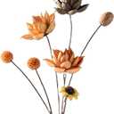 Artisanal Dried Flower Decor - Separable Flower Heads and Stems for Custom Arrangement,Zero Maintenance, Timeless Elegance for Parties, Events, and Home Styling 0006