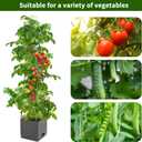 Raised Garden Bed, Planter Boxes with Trellis 58.3'' Tomato Planters for Climbing Vine Vegetables Flowers Plants Self Watering Tomatoes Cage for Outdoor Patio Greenhouse