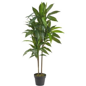 Nearly Natural 48in Artificial Dracaena Plant with Real Touch Leaves and Multi Tonal Trunks, Large Indoor Faux Tree for Living Room and Office Decor