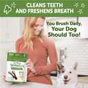 Wellness WHIMZEES Value Pack Dog Dental Treat, Chews, Freshens Breath, Medium Size, 46.6 oz Box, 44 Count (EXP 03/07/29)