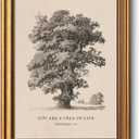 VIYYIEA Gold Framed Christian Vintage Canvas Wall Art, Tree Sketch Bible Wall Decor, Minimalist Christian Easter Religious Home for Living Room Bedroom Church Prayer Room 12x16in