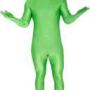Morphsuit Costumes Big Selection Of Styles For Halloween Scary Costumes Various Sizes (Medium, Green)