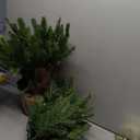 3FT Pre-lit Artificial Small Mini Christmas Tree with Warm White Multi-Color LED Lights, Remote Control and Timer, Perfect for Xmas Tabletop Decorations, Home, Kitchen, Dining Table top Green