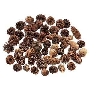 40 PCS Rustic Pine Cone Decorations - Large, Medium and Mini Sizes for Table, Tree and Home Decor