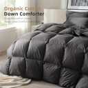 Feather Down Fiber Comforter King Size,Hotel Style Bedding Comforter,750+ Fill Power,1200TC,100% Organic Cotton Fabric,All Season Grey Duvet Insert with 8 Corner Tabs
