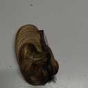 CJL HAIR Claw Clip Short Ponytail Hair Extensions Bendable Metals Messy Bun Hair piece Wavy Curly Fake Hairpieces Brunette/Ash Blonde