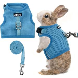 AIITLE Adjustable Rabbit and Leash Set - Lightweight & Portable, Padded Vest with Magic Tape Design, Indoor/Outdoor Use (Training, Hiking) - Fits Hamsters, Rats, Iguanas, Puppies, Cats, Blue M