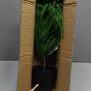 3FT Artificial Norfolk Pine Christmas Tree Real Touch Faux Tree with Black Pot, Realistic Indoor Holiday Decor for Christmas Entryway, Living Room & Office