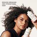 Olaplex N.4 Bond Maintenance Hair Strengthening Shampoo: Repairs Damage & Defend Against Future Breakage | Replenishes Hydration | For Coily, Curly, Straight, and Wavy (250 mL / 8.5 Fl Oz)