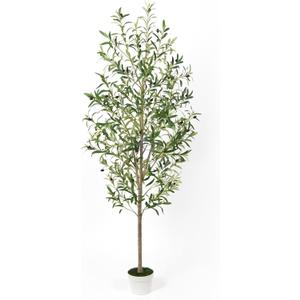 Artificial Olive Trees with Lifelike Natural Trunk, Leaves, Moss and Fruits, 6FT Tall Faux Olive Tree with White Versatile Nursery Pot, Fake Plants for Indoor Home Decor, Office Decor, Room Decor