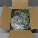 RECUTMS Artificial Hanging Willow Leaves Vine Twigs 2PC, Fake Silk Weeping Willows Leaf Plant Faux Italian Ruscus Greenery Indoor Outdoor Home Garden Wedding Arch Jungle Birthday Party Spring Decor