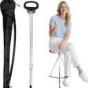 ALEVMOOM Walking Cane with Seat Folding Lightweight, 2-in-1 Cane Stool for Adults, Aluminum Walking Stick with Seat, Portable Stool for Senior, with Carry Bag , Silver 
