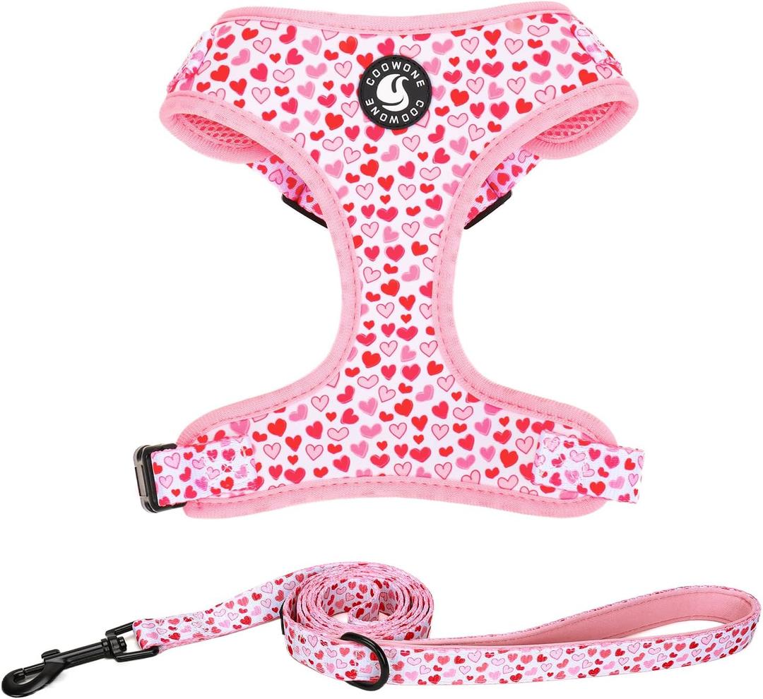 Dog Harness and Leash Set, Adjustable Dog Harness, Dog Leash, No Pull No Choke Puppy Harnesses for Walking Training , XS(Chest 11-13", Neck 9-11"))