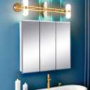 Design House Cyprus 25-in. Wide Medicine Cabinet, 3 Frameless Mirrored Doors, 2 Interior Shelves, Pre-Assembled, Surface or Recess Mounted, White/Clear, 25.1 in. W x 4.4 in. D x 24.5 in. H, 597484