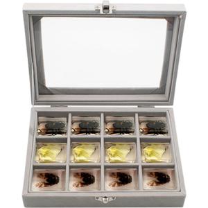 Insect Resin Specimen Box with 12 Grids, Clear Top Insect Specimen Storage Box for Biology Science (Box Only), Grey