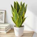 Artificial Snake Plants in White Pot, 15.5'' Sansevieria Potted Plant, Modern Fake Greenery for Desk, Indoor Decoration for Office, Bathroom Home Decor (Green & Yellow -2)