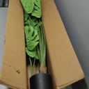 Artificial Palm Tree 5.5Ft Faux Dypsis Lutescens - Tall Fake Plant with Adjustable Branches, No Maintenance, Tropical Tree for Indoor Decor - Ideal for Living Room, Office, Bedroom, Commercial Spaces