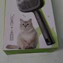 Pecute Cat Steam Brush, Self-Cleaning Steam Cat Brush with 2 Water Spray Modes, Large Capacity Tank, Steaming Renu Dog Brush for Shedding Massaging Grooming, Cool Mist Only, Green