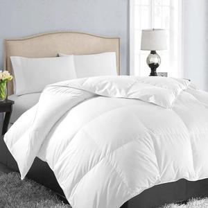 EASELAND Queen Size Down Alternative Comforter - Quilted Duvet Insert for All Seasons, Soft Lightweight with Corner Tabs, Summer Winter Warm Bedding, White 8888 Inches