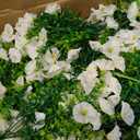 Artificial Fake Flowers For Outdoor Outside Decoration,16 Bundles UV Resistant Faux Plastic White Flowers with Green Eucalyptus Stem Plants Bulk Look Real for Home Porch yard Patio Planters (White)