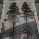 KUVIOKE Vintage Black Gray Forest Wall Art Framed Antique Retro Tree Prints Modern Rustic Artwork Bedroom Living Room Ready to Hang 16x24in (Natural Framed) (24L" x 16W" x 3 Panels Natural)