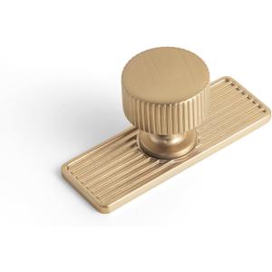 Goo-Ki Champagne Bronze Zinc Alloy Cabinet Knob with Backplate - Single Hole Center Cabinet Pull Hardware for Bedroom, Kitchen, 2 Pack9596-G