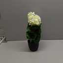 Briful 17 Geraniums Artificial Flowers Realistic Potted Plant  White Fake Geraniums for Outdoors, Silk Flowers Artificial Outdoor Plants for Indoor Home Decor, Farmhouse Table Centerpiece Decoration (16.9'' Tall White)