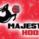 Majestic Hoops Mini Basketball Hoop - Indoor Basketball Hoop - Durable Plastic Basketball Hoop for Kids and Adults - No Assembling - Premium Basketball Game with Ball and Pump