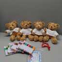 Blueweenly 20 Pcs Make Your Own Valentines Stuffed Bear Kit Including 9.84 Inches Velvet Animal White T Shirt 12 Colors Pens and Card DIY Stuffed Plush Valentine Gift for Crafts(Brown,Bear)