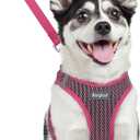 Eagloo Small Dog Harness and Leash Set, Step in Puppy Vest with Breathable Soft Mesh, Walking Reflective Pet Harness for Medium Small Dogs, Rose Red, L (L(Chest:18.2"-20.5"))