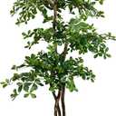 Cypress & Alabaster Handmade 6.5ft 3-Tier Italian Black Olive Leaf Artificial Tree with Ethically Sourced Real Wood Trunks, Hypoallergenic, 6.5-Foot, Green