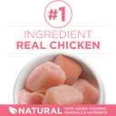 Purina ONE High Protein, Natural Dry Kitten Food, +Plus Healthy Kitten Formula - 7 lb. Bag (EXP 11/01/26)