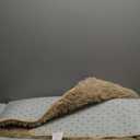 Merelax Soft Modern Indoor Large Shaggy Rug for Bedroom Livingroom Dorm Kids Room Home Decorative, Non-Slip Plush Fluffy Furry Fur Area Rugs Comfy Nursery Accent Floor Carpet 5x8 Feet, Light Tan