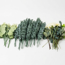 Artificial Flowers Real Looking Ivory Foam for DIY Wedding Bouquets White Bridal Shower Centerpieces Floral Arrangements Party Tables Home Decoration.