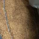 Calloway Mills AZ101632448NP Maxen Doormat, 4" x 2", Natural/Black