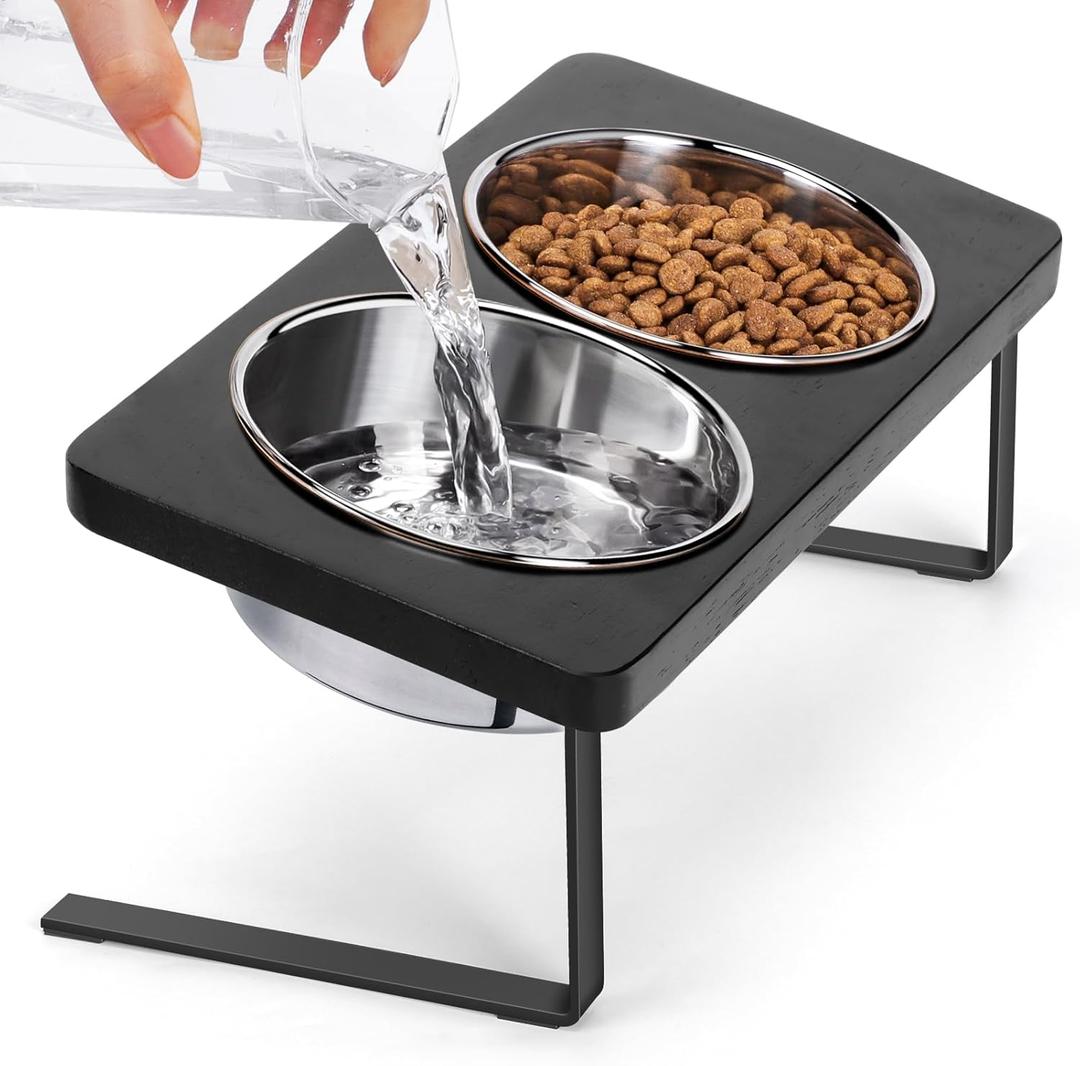 Elevated Cat Bowls, 15 Tilted Raised Cat Food Bowls Anti Vomiting Raised Dishes for Food and Water, Stainless Steel Material for Cats and Puppy (Black color)