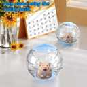Hamster Exercise Ball Sports Car with Detachable Transparent Running Ball and Carriage, 2 Pcs - Quiet Exercise Toy Kit for Dwarf Hamsters, Mice and Gerbils - Easy to Assemble, No-Noise Night Running