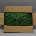 Hananona 6 FT 2 Pcs Artificial Cedar Garlands, Real Touch Winter Cedar Garland, Green Artificial Greenery Pine Garland for Table, Mantle, Wall, Indoor, Outdoor Christmas Decorations (2, 6 FT)