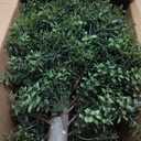 INSPRING 27'' Artificial Boxwood Topiary Trees Outdoor Fake Bushes Plants UV Resistant Evergreen Shrubs with Metal Ground Spike for Porch Patio Garden, 2 Pack