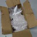 Pinkunn 6pcs Christmas Dove Ornaments Artificial White Peace Dove Hanging Decoration White Resin Birds with Gold String for Christmas Tree Decorations Wedding Cake Centerpieces DIY Decoration